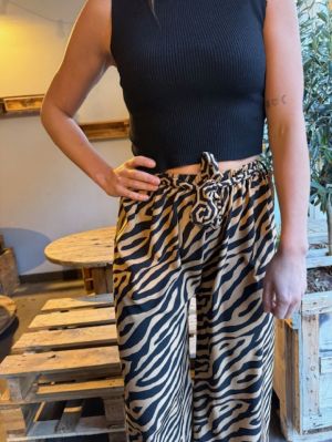  ZEBRE CAMEL