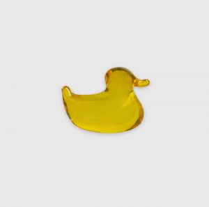  CANARD