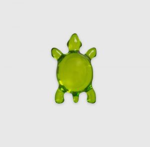  TORTUE