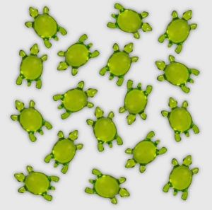 TORTUE