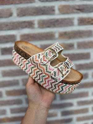  MULTICOLOR