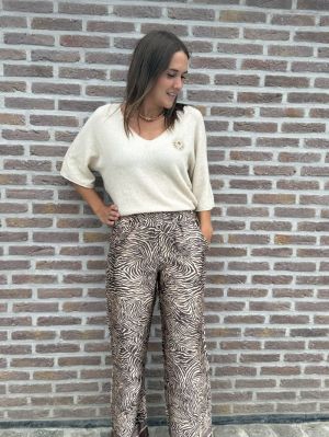  Zèbre brun