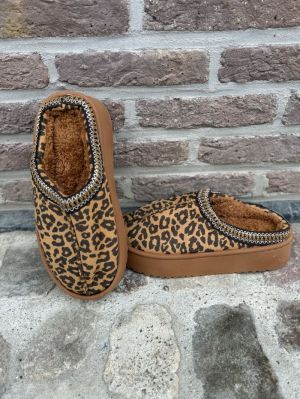  LEOPARD