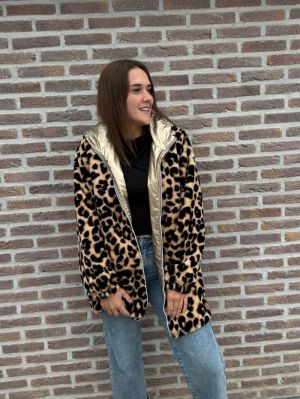  OR/LEOPARD