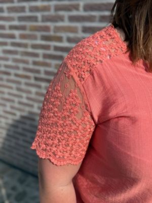  corail