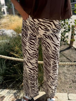  ZEBRE