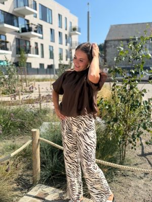  ZEBRE