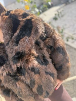  LEOPARD BRUN