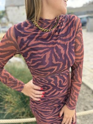  ZEBRE ROUILLE/V