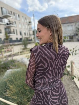  ZEBRE MAUVE